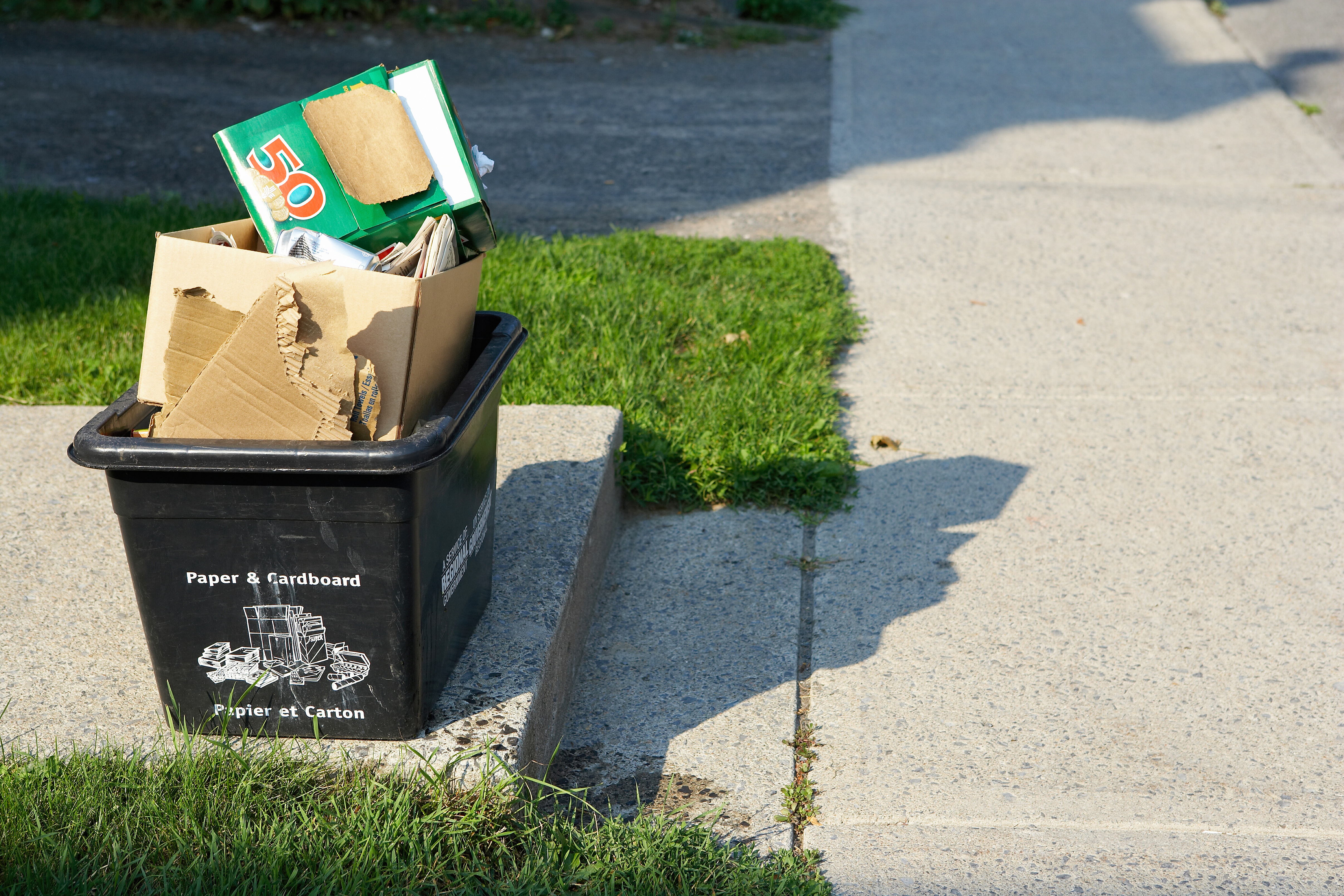 La mitad de las personas en México reciclan, pero podrían ser más