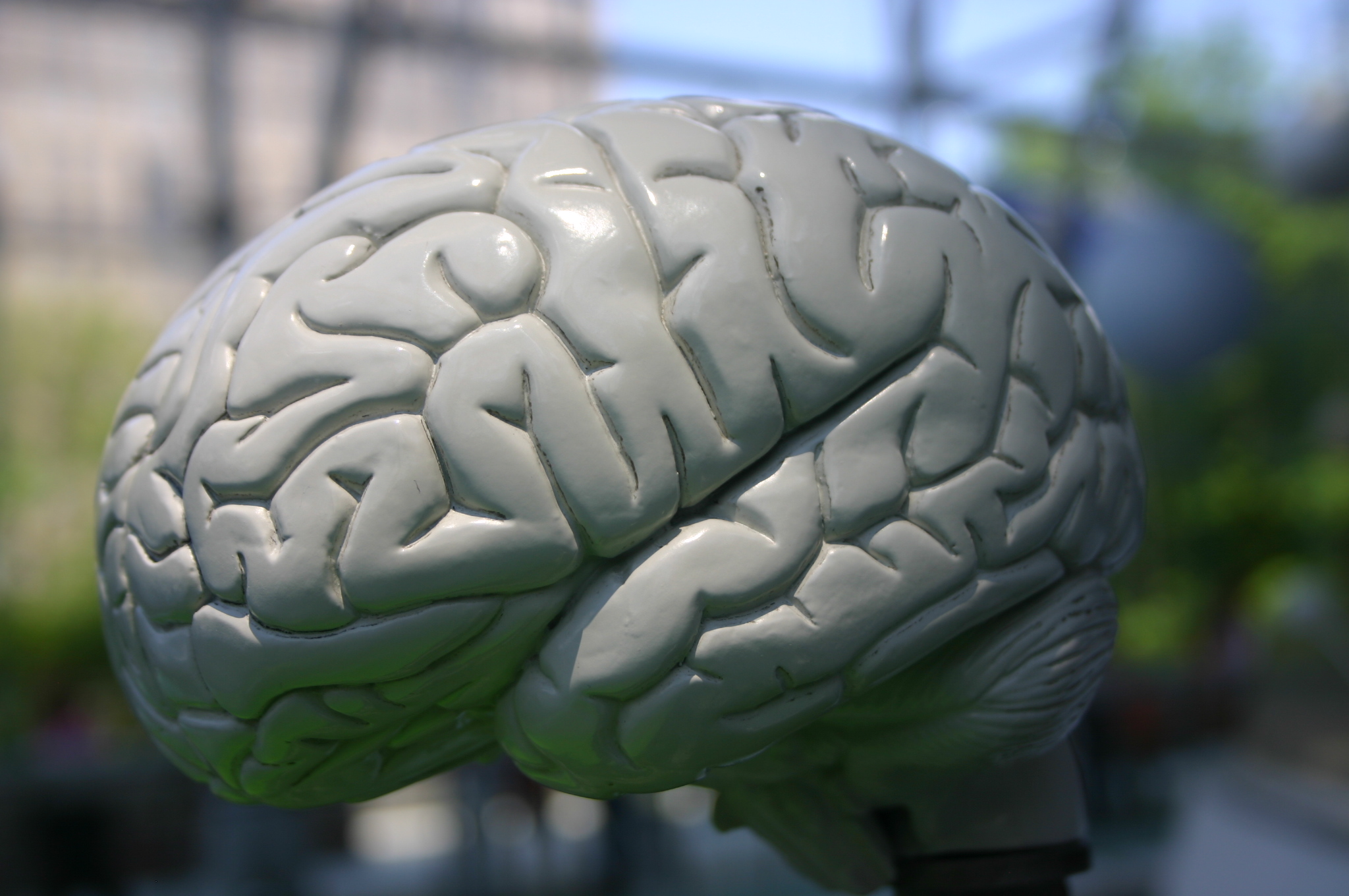 Solo el 2% de las personas en México se implantarían un chip en el cerebro para mejorar su capacidad cognitiva.